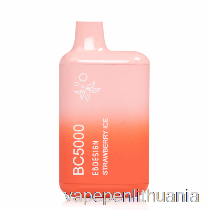 Bc5000 Vienkartinis Braškių Ledo Vape Skystis